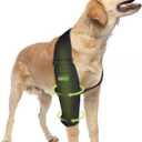 Dog Elbow Pads for Calluses Pressure Sores and Shoulder Dislocation Dog Canine Elbow and Shoulder Support Dog Front Leg Brace Prevent Licking Wound Right Leg L