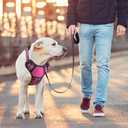 BUMBIN Dog Harness for Large Dogs, No Pull Adjustable No Choke Pet Vest with Dog Leash Fit Smart Reflective Pet Walking Harness for Training Easy Control Soft Handle (Rose Red M)