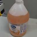 Dial Professional Original Antibacterial Defense Foaming Hand Wash, 1 Gallon Refill Bottle, 128 Fl Oz