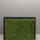 PetSafe Pet Loo Portable Dog Potty - Pet Toilet Alternative for Puppy Pads - Small - Perfect for House Training - Easy-to-Clean Grass Mat