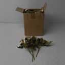 30 Pack Artificial Flowers with Vase Bulk, 20 Bundles Silk Floral Bouquet 10 Clear Vase with 1 Pcs Rope, Mason Jar Table Centerpiece Arrangement Wedding Party Decor (Dahlia,Champagne)