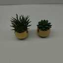 Small Artificial Succulents in Pots Set of 2 Realistic Faux Succulents Plants with Gold Ceramic Pots Cute Mini Fake Plants Decor for Modern Home Table Office Desk Bathroom Shelf Decoration