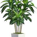 6FT Artificial Dracaena Tree, Fake Tree Indoor with White Tall Planter,Tall Artificial Plants Indoor,Artificial Silk Tree for Home Office Decor (White)