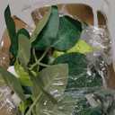 TELDRASSIL 4Pcs(26 FT) Artificial Rose Vine Fake Flower Garland Fake Silk Rose Hanging Vine for Wedding Party Background Arch Garden Background Decoration (White)