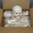 Houseables Disarticulated Human Skeleton, Human Skeleton Model for Anatomy, Anatomy Model, Anatomically Correct, Physiology Bones, Skeletal System, Full Life Size, Anatomical, Study, Class, 62 Height