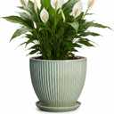 8 Inch Planter, Ceramic Plant Pots with Drainage Hole and Saucer, Decorative Pots for Plants Indoor, Ceramic Flower Pots, Round Modern Planter, Living Room Decor, House Warming Gifts, Green