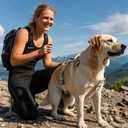 TSPRO Premium Heavy Duty Tactical Dog Harness, No Pull with Padded Control Handle & Quick-Release Buckles, Adjustable Vest for Medium Large Dogs, Walking Hiking Training (Black 25, L) (L (Neck 21.3 - 34.6", Chest 26 - 33"))