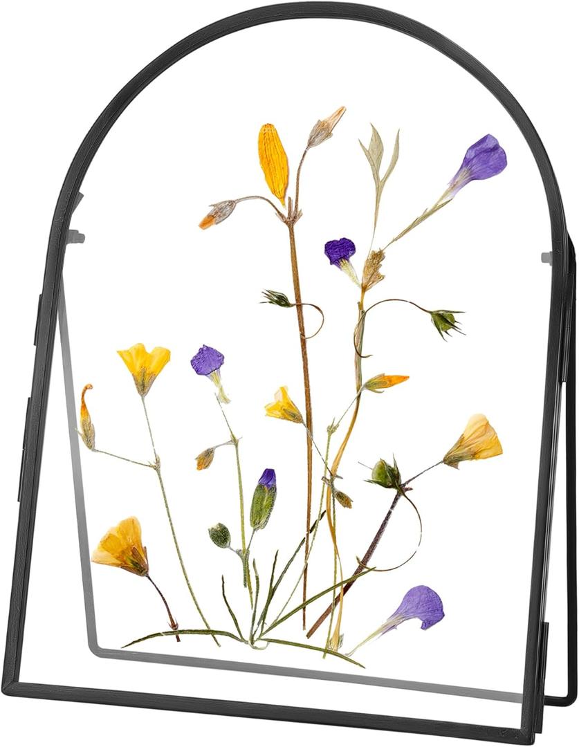 Double Glass Frame for Pressed Flowers Handmade, Metal Floating Picture Frame for Pressed Flower, Tabletop Display, Brass, ArcShaped, Black, 6x8 inches (FRAME ONLY) (6L" x 8W")
