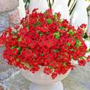 Kingsboomy Artificial Flowers for Outdoors, Faux Plants Flowers, 12 Bundles Silk Colorful Fake Flowers Eucalyptus Realistic UV Resistant for Outside Home Planter Porch Patio Yard Decor (12, Red)