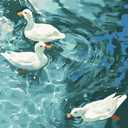 2 x ZRIZQ Paint by Number for Adults Beginners,12" Wx16 L Canvas for Painting Kits for Adults in Colorful Box,Paint by Numbers for Home Wall Art Decor-Summer Duck