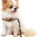 LOPHIPETS Lightweight Dog Harness with Leash Set for Small Dogs Chihuahua Yorkie Puppy Cat-Coffee/S