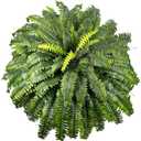 Fake Ferns Artificial Plants Large, 51" Faux Boston Fern with Vines & 66 Fronds, Lifelike Artificial ferns for Outdoors & Indoors, Ideal for Planters Home Porch Entrance Hall Decor, Hanging or Potted