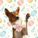 Unique style paws Easter Dog Collar with Bow Easter Eggs Chicken Collar with Flower for Small Medium Large Boys Girls Dogs (XL)