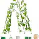 Cucumber Trellis for Raised Beds & Gardens - Sturdy Arch Trellis for Climbing Plants, Tomatoes, Peas & & Beans | Outdoor Vegetable Support for Vines (31.5" Lx30 W x47.2 H)