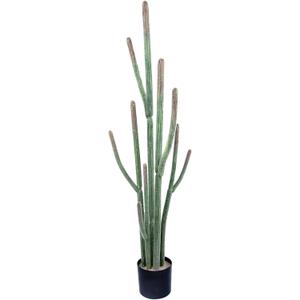 Nafresh Tall UV Resistant Faux Cactus Plant60in Realistic Texture Tall Fake Plant, Artificial Cactus Large with Black Pot Indoor Outdoor for Home Office Living Room Bedroom Foyer Porch Decor.