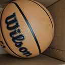 WILSON NBA Authentic Series Outdoor Basketballs, Size 7 - 29.5"