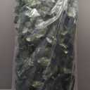 TANG Sunshades Depot 15"x48" Double Sided 1 Pc Artificial Ivy Privacy Fence Wall Screen, Artificial Hedges Fence and Faux Ivy Vine Leaf Decoration for Outdoor Garden Decor