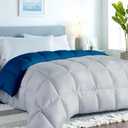 ROYALE LINENS Reversible Comforter - Twin Size Duvet Insert - All Season Soft Quilted Comforters with 8 Corner Tabs - Down Alternative Bedding Comforter - Duvet Insert (Navy/Silver, Twin 64"x84")