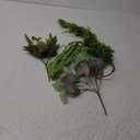 Reptile Plants, Terrarium Hanging Plant Vines Artificial Leaves Reptile Hide, Leopard Gecko Tank Accessories, Terrarium Decorations for Bearded Dragon Lizard Snake Geckos Chameleon
