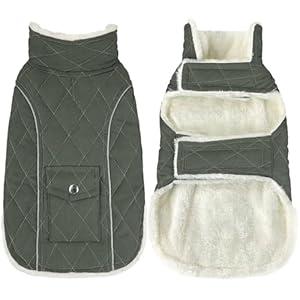Malier Dog Winter Coat, Windproof Dog Cold Weather Coats with Real Pocket, Winter Extra Warm Pet Coat Fleece Jacket Reflective Clothes for Small Medium Large Dogs and Puppy (Green, XLarge)