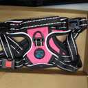 PHOEPET No Pull Dog Harnesses for Small Dogs Reflective Adjustable Front Clip Vest with Handle 2 Metal Rings 3 Buckles [Easy to Put on & Take Off](S, Pink)