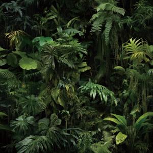 FunStick Dark Green Tropical Wallpaper Peel and Stick Jungle Leaf Wallpaper for Bedroom Bathroom Kids Room Removable Black Green Tropical Contact Paper for Wall Murals Cabinets Waterproof 17.5"x118"