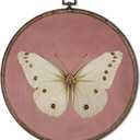 GWFSJYU Vintage Pink Butterfly Framed Wall Art, Coquette Moody Butterfly Round Canvas Prints Wall Art, Antique Butterflies Moth Hanging Decor for Bedroom Living Dorm Girls Room, 10x10inch