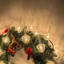 Christmas Bubble Lights Set, 11Ft Vintage Bubble Light String with 8 Clear Bubble Fluids with Silver Glitter Bulbs(1 Spare), UL Listed for Holiday Party House Christmas Celebrations Decor, Green Wire