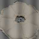 H HIDREAM Soft Cat Cone Collar Cute Adjustable Cat Recovery CollarElizabethan e Collar That can Protect Head and Foot WoundsEgg White All-Season Style