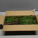 WBHome 6 Pcs Christmas Norfolk Pine Branches with Pine Cones - 42" Real Touch Norfolk Pine Branch- Artificial Xmas Branches Plants Pine Needles for DIY Craft Garland Home Garden Decor