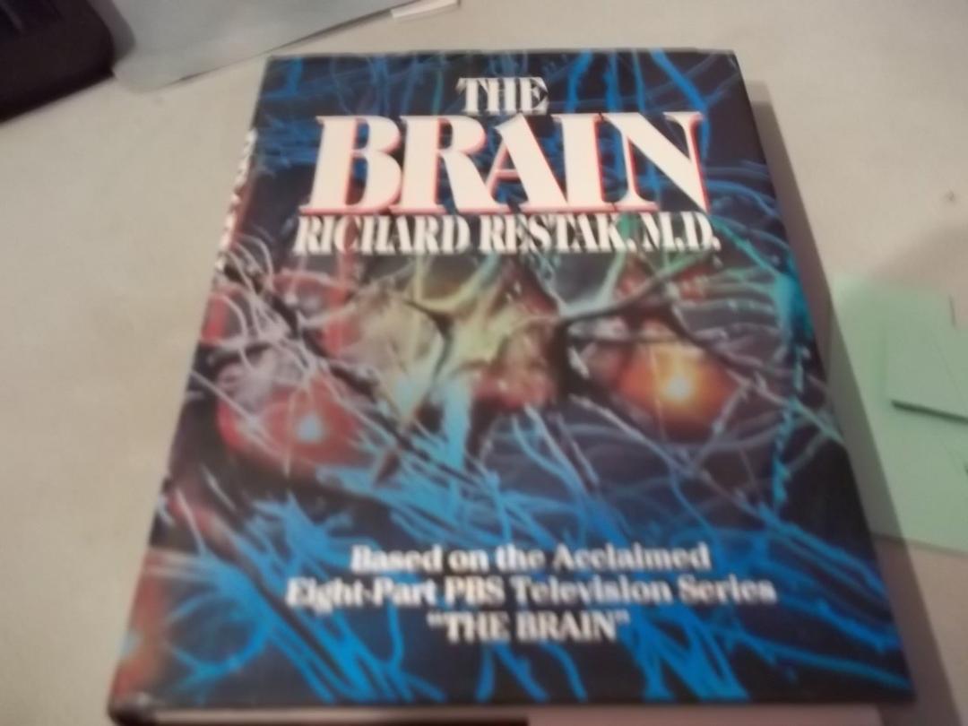 The Brain