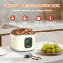 Electric Lunch Box for Adults Woman,Cordless Electric Lunch Box for Youth,Rechargeable Portable Food Warmer 800ml Inner Container,Waterless Heating Fast Heating Lunchbox,Digital Display