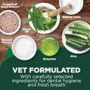 Vets Best Enzymatic Dog Toothpaste Vet Formulated Dental Gel for Teeth Cleaning, Fresh Breath, Tartar Control, Plaque Remover & Oral Hygiene for Dogs, 3.5 oz (Blue, S)
