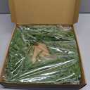 24“ Norfolk Pine Wreath, Christmas Wreaths for Front Door and The Perfect Outdoor Christmas Wreath, Christmas Door Wreath for Christmas Decor Indoor Outdoor Window Wall Decoration