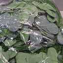CQURE 90Pcs Eucalyptus Garland,Artificial Eucalyptus Leaves Table Greenery Garland Wreath Vines for Wedding Party Table Fireplace Bedroom Wall Decor