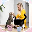 Funnymoom 2 Pack Silicone Cat Slow Feeder, Elevated Slow Feeder Cat Bowl for Dry and Wet Food, Tilted Design with Non Slip Base, Adjustable Angle for Pet (Pink and Blue)