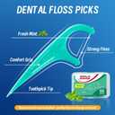 Floss Picks, 300 Count Mint Dental Floss Picks, Toothpicks with 5 Travel Cases for Extra Convenience, Helps Prevent Cavities, Remove Plaque & Freshen Breath, Premium Floss Sticks for Family