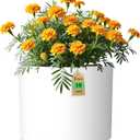 10 Inch Round Plastic Plant Pot with Drainage Holes and Saucer, Wide Flower Pots for Indoor & Outdoor Plants 7.9" Tall Modern Cylinder Planter Pot for House Plants and Home Decorative, Matte White
