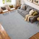 FinRèc 5x7 Washable Area Rugs for Bedroom Living Room, Low Pile Thin Rug Solid Color, Non-Slip Carpet Indoor for Home Decor (Pure Light Grey)