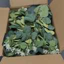 Giegxin 270 Pcs 3 Kinds Mixed Eucalyptus Leaves Stems Bulk Artificial Silver Dollar Leaves Picks Dried Eucalyptus Bundle Faux Spray for Wedding Vase Bouquet Floral Arrangement (Green)