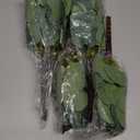 40 Pcs Artificial Eucalyptus Stem, Fake Silver Dollar Eucalyptus Leaves Stems Bulk Real Touch Faux Leaf Branches for DIY Bouquets Floral Arrangement Wedding Home Decor