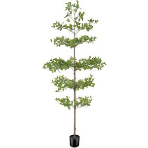 Artificial Black Olive Tree 6ft – Faux Shady Lady Tree with Natural Wood Branches & Realistic Green Leaves, 6 Feet Tall Potted Fake Olive Tree for Indoor Home or Office Decor