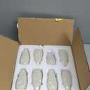 Modern Small Flower Vases 8 Pack - Ceramic, White
