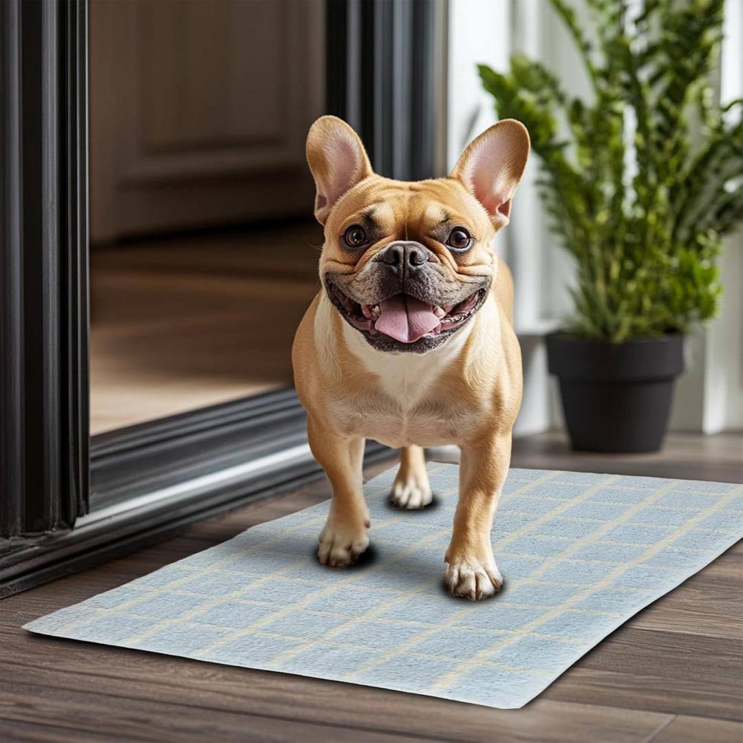 Doormat for Muddy Dog Paws, Machine Washable Soft Microfiber, Non-Slip Welcome Rug Bed Mat for Dirty Dogs, Thick Washable Mat for Kitchen Bathroom Bedroom Entryway 24" L x 16" W, Blue