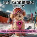 EcoBark Pink XXXS Dog Harness, Soft Mesh No Pull Mini Body Halter for Toy Breeds up to 10in, Escape Proof, Recycled Straps, Adjustable, Teacup Dog Harness Vest Under 5lbs