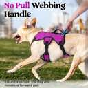 rabbitgoo Escape Proof Dog Harness, Soft Padded Full Body Pet Harness, Reflective Adjustable No Pull Vest with Lift Handle and Lesh Clip for Large Dogs Walking Hiking Training, L, Purple
