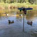 MOJO Outdoors - Premium Waterfowl and Duck Hunting Decoys