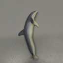 Safari Ltd. Bottlenose Dolphin Figurine - Lifelike 7.5" Plastic Model Figure - Fun Educational Play Toy for Boys, Girls & Kids Ages 1+