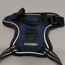 rabbitgoo Dog Harness No Pull with 2 Leash Clips, Adjustable Soft Padded, Reflective Oxford No Choke Pet Vest with Easy Control Handle for Puppy, Blue Coral, XS