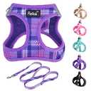 PUPTECK Dog Harness and Leash Set for Small Medium Dogs No Pull Step-in Soft Mesh Puppy Cat Vest Harnesses Reflective at Night, Plaid Pattern Purple XS